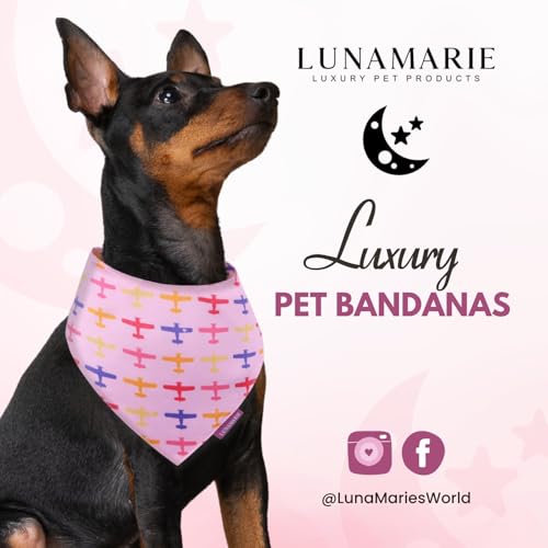 Luxury Pet Birthday Bandanas (Aviator Glam / Small)