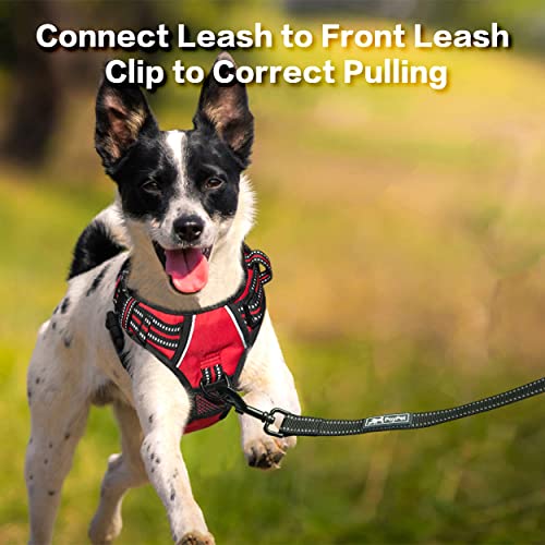 No Pull Dog Harness with 3 Leash Clips and Vertical Handle (Medium / Red)