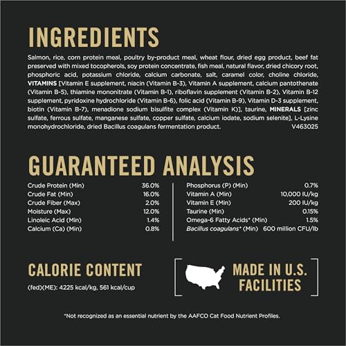 High Protein Dry Cat Food (7 Pound (Pack of 1))