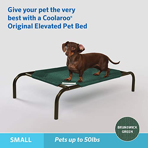 The Original Cooling Elevated Pet Bed (Small Dog Bed / Brunswick Green (Pack of 1))