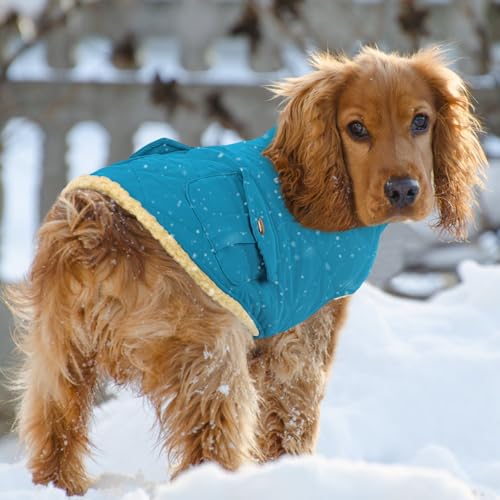 Waterproof Dog Winter Coat Warm Puffer Jacket Plush Lining Vest (Small / Blue)