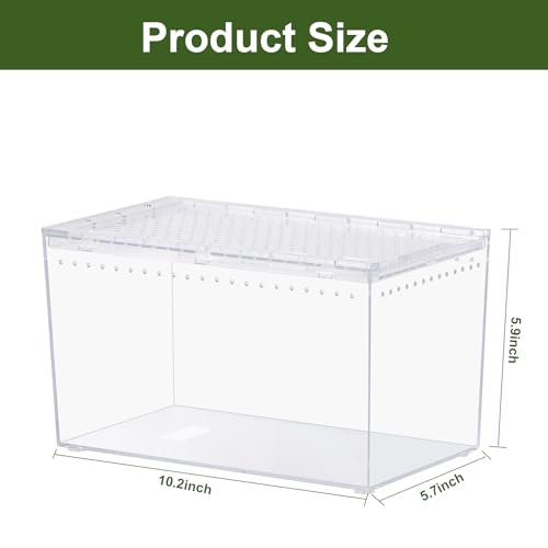 Tarantula Enclosure Spider Terrarium Hermit Crab Tank Starter Kit (M-Starter Kit)