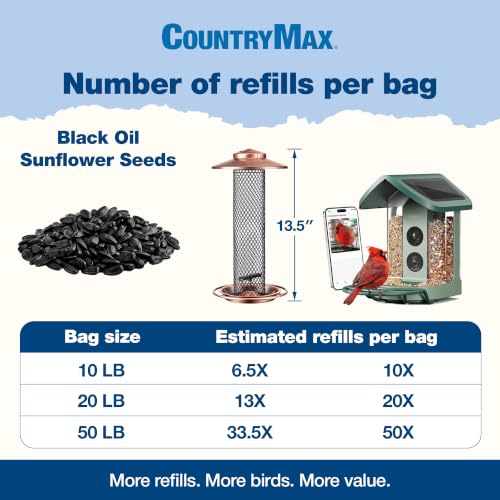 Black Oil Sunflower Seeds 10 lb (Black Oil Sunflower / 10 Pound (Pack of 1))