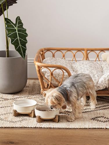Ceramic Dog and Cat Bowl Set with Acacia Wood Stand (S-2 Cups / Lines+Dot)
