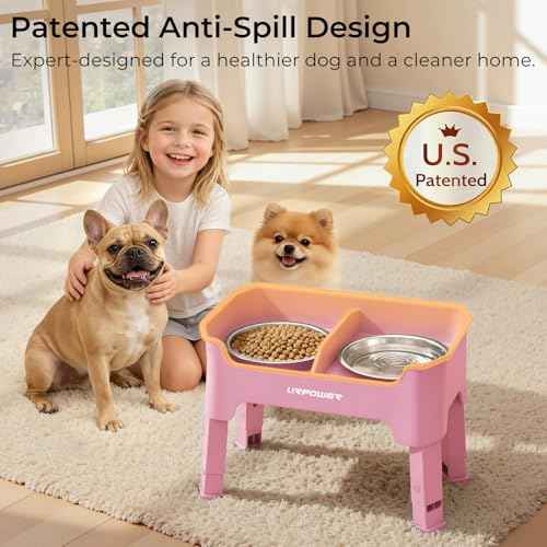 Mess Proof Elevated Dog Bowls (Pink / Small)