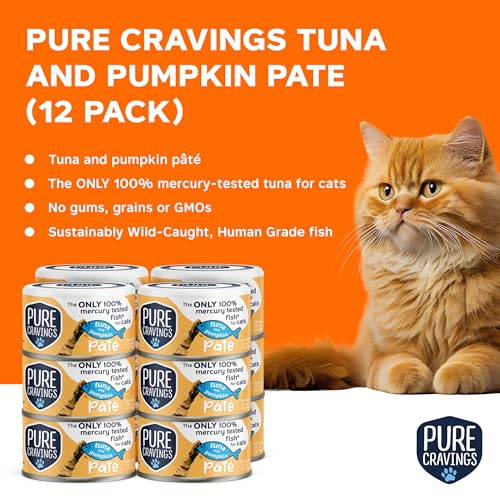 Tuna and Pumpkin Pate