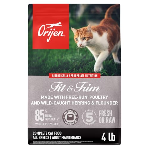 Fit & Trim Grain Free WHOLEPREY Dry Cat Food 4lb Bag (4 Pound (Pack of 1))