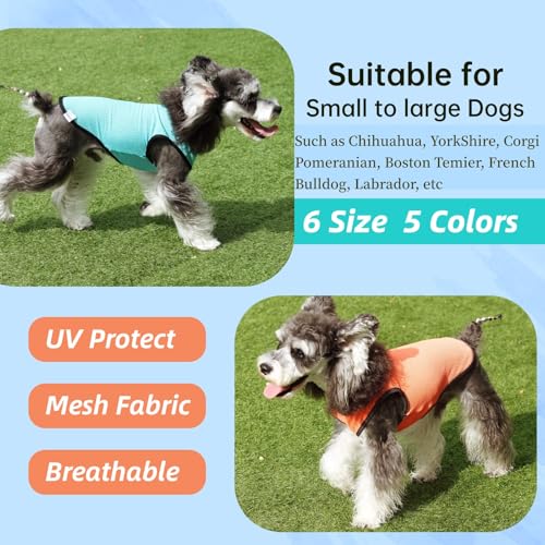 2 Pack Cooling Shirts for Dogs (M(chest:12-14") / Lake Blue&Orange)