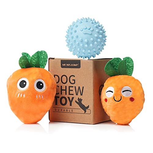 Dog Chew Toy with Ball