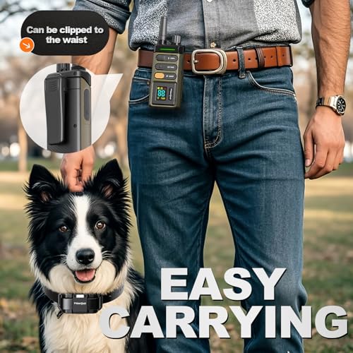 Dog Training Collar with Remote (1 collar with remote)