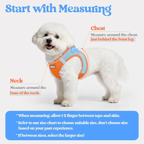 Dog Harness Medium Sized and Leash Set (Blue & Orange / M (chest: 16 - 18.5"))