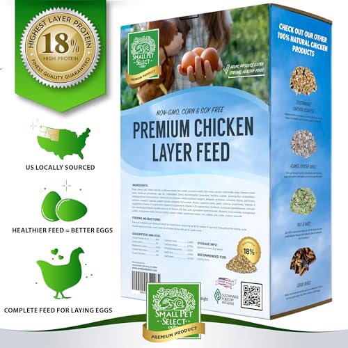 Chicken Layer Feed (10 Pound (Pack of 1))