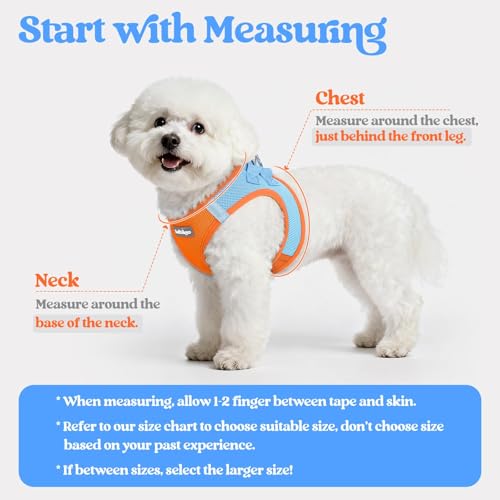 Dog Harness Medium Sized and Leash Set (Blue & Orange / Xxl (chest: 21.6 - 23.7"))