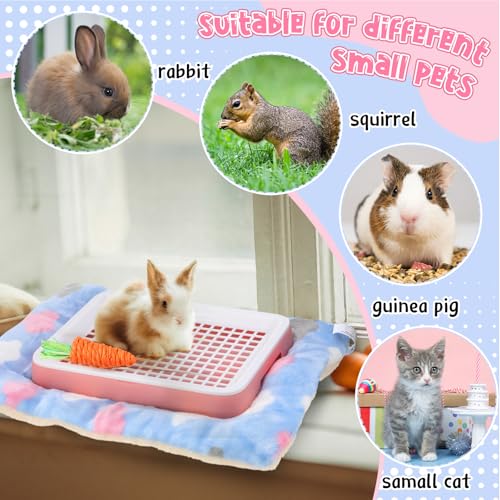 19 Pcs Rabbit Starter Kit Small Bunny Litter Box Rabbit Grooming Kit Water Bottle Bunny Toys Hay Feeder Bowl Blankets with Cleaning Set for Guinea Pig Accessories (Pink-white / Strawberry Bear)