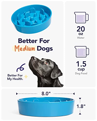 Dog Bowls Slow Feeder Ceramic (Vortex Blue / M-1.5 Cups)