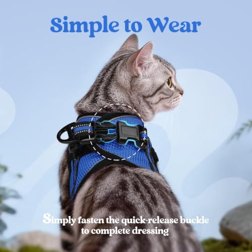 Cat Harness and Leash Set (L / Blue)