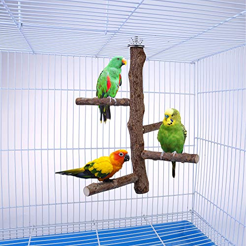 Bird Perch Stand Toy Natural Wood Bird Cage Branch Perch 10 Inch (10 Inch Perch)