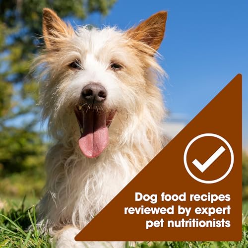 Nature’s Recipe Grain Free Wet Dog Food Paté Variety Pack
