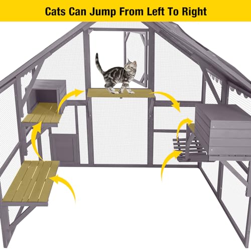 Large Catio Outdoor Cat Enclosure Window Design for 6