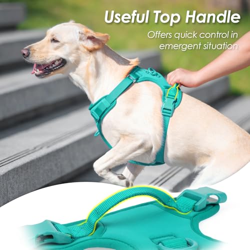 No Pull Dog Harness for Small Sized Dogs (MARRS Green / XS(Neck:11.8-16.5", Chest:14.2-19.7"))