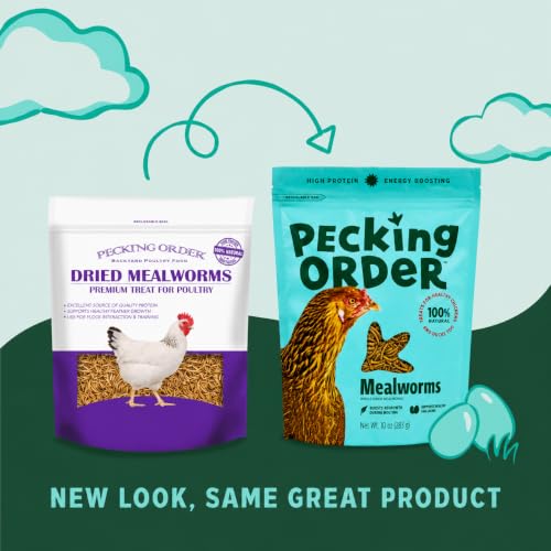 Dried Mealworms Treats for Chickens (10 Ounce (Pack of 1))