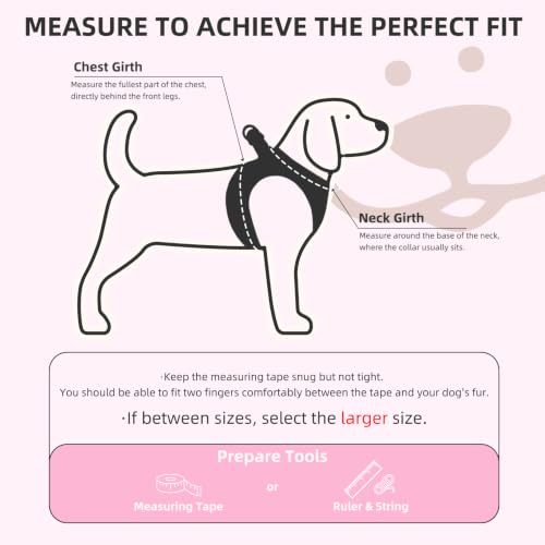 Dog Harness Collar and Leash Set No Pull for Small Medium Sized (Pink / M (CHEST 16"-18"))