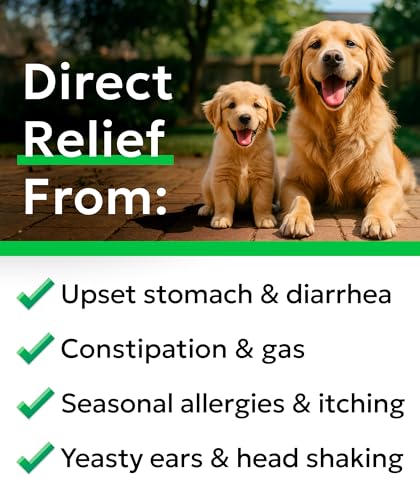Dog Probiotics 120 Chews for Digestive Health w (Probiotic Chews / 120Ct)