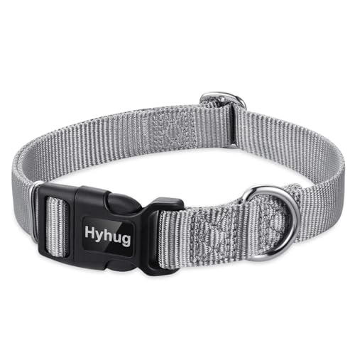 Gray Dog Collar for Medium Dogs (Medium / Sleet Gray)
