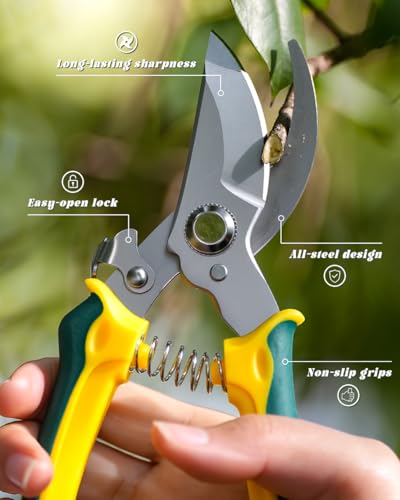 3 Pack Garden Pruning Shears Scissors Clippers (Anvil)
