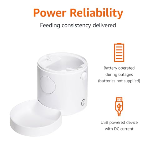 Automatic Cat Feeder with Programmable Voice Recorder