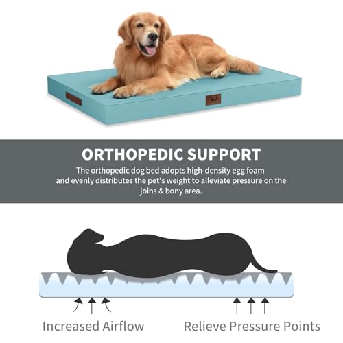 Outdoor Waterproof Orthopedic Dog Bed for Medium Size Dogs (Light Blue / 35.0"L x 22.0"W x 3.0"Th)