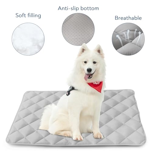 Dog Crate Pad 2 Pack (36 x 23 Inch)