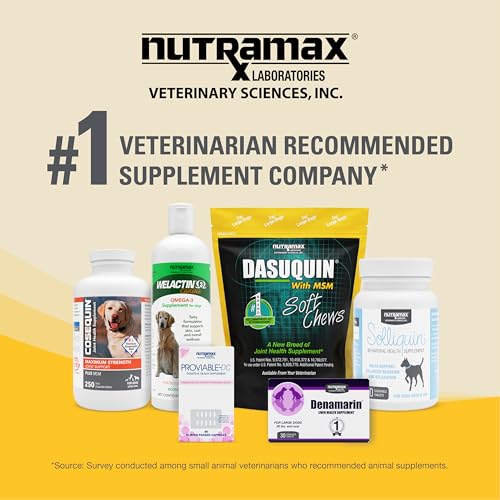 Nutramax Dasuquin MSM Joint Supplement
