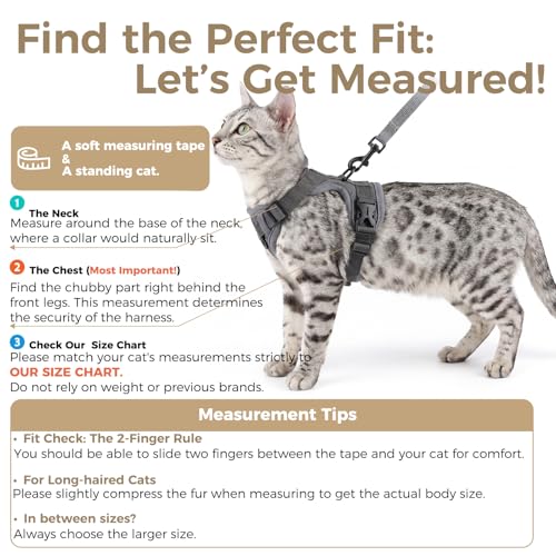 Cat Harness and Leash Set (Grey / XX-Large)