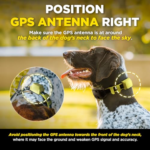 GPS Fence No Subscription (GPS Fence (No Flags))