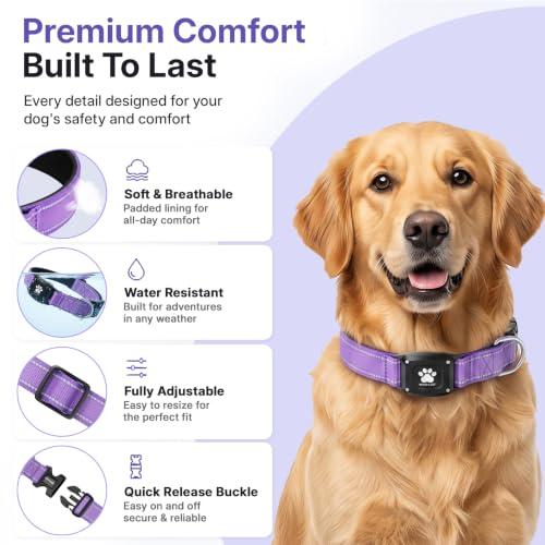 GPS Dog Collar with Tracker (Purple / L(16.5''-23.5''))