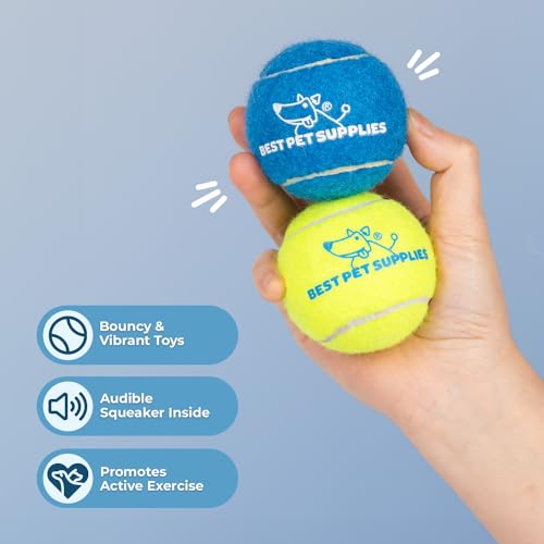 Interactive Squeaky Dog Chew Toy (Tennis (Assorted Color) / Medium (Pack of 4))