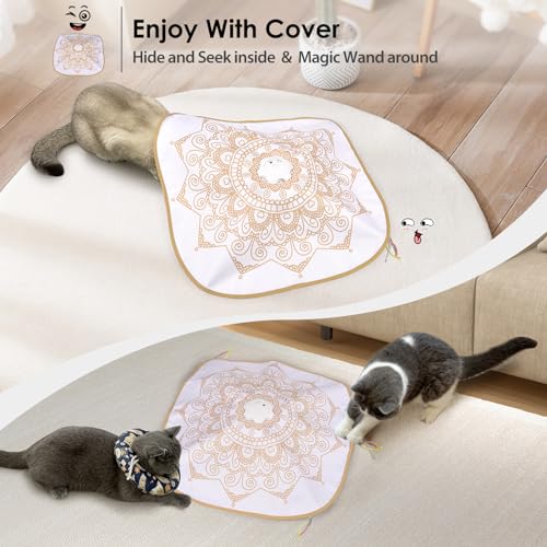 Cat Toys for Indoor Cats