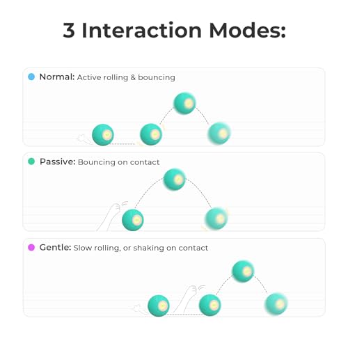 Interactive Dog Toys (Small)