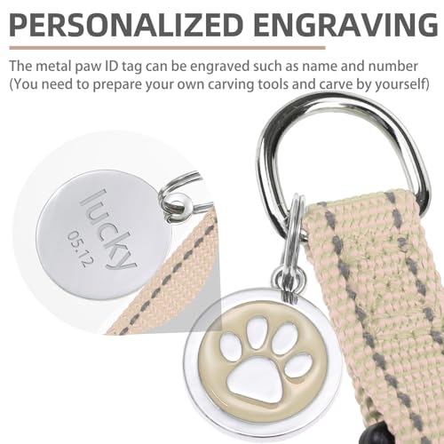 No Pull Dog Harness Small Sized Step (Beige(Reflective) / Small)