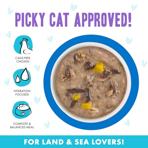 B.F.F. OMG Best Feline Friend Oh My Gravy! (2.8 Ounce (Pack of 12))