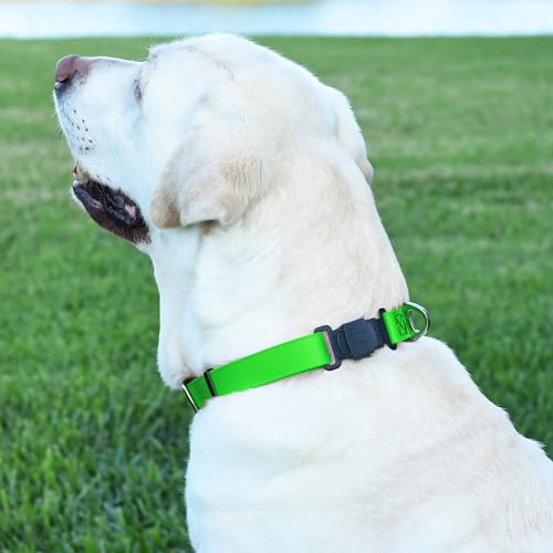 Biothane Waterproof Dog Collar with Herm Sprenger Stainless Steel Quick Release Buckle (W 3/4" x L 12"-19" / Tropical Green)