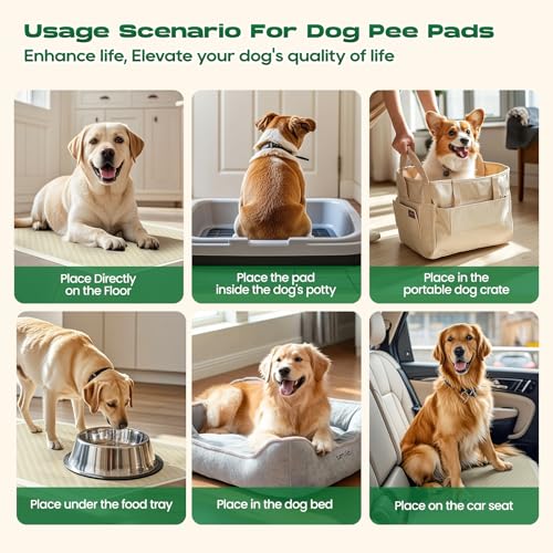 Puppy Pads Pee Pads for Dogs 30"x36" 50 Count with Tabs (30 x 36 inches (50 Count))