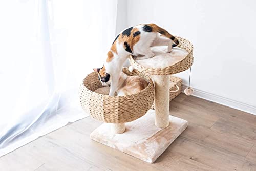 Modern Small Cat Tree with 2 Cat Beds (Beige Brown)