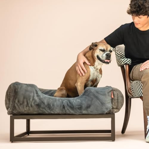 Luxury Aesthetic Dog Bed with Extra Cover for Medium Dogs (Dark grey / Medium)