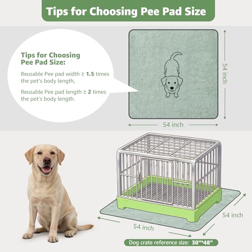 2 Pack Extra Large Reusable Pee Pads for Dogs (Green Dog Element / 54"x54"(Pack of 2))