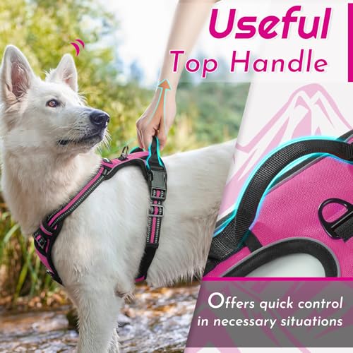 Dog Harness for Medium Sized Dogs (Medium / Rose Red)
