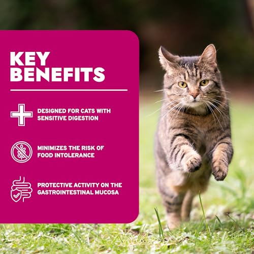 Intestinal Dry Cat Food for Sensitive Stomachs (3.3 Pound (Pack of 1))