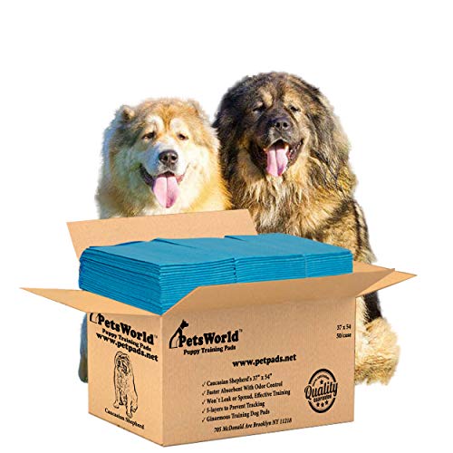Pee Pads for Dogs 37x54 Fresh Scented (37x54 Fresh Scented / 50 Count)