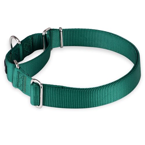 Martingale Collar for Dogs (XL / Dark Green)